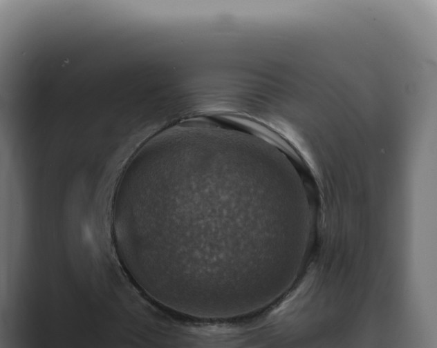 X0000089690385200706281419