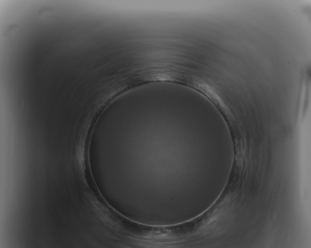 X0000089690386200706281419