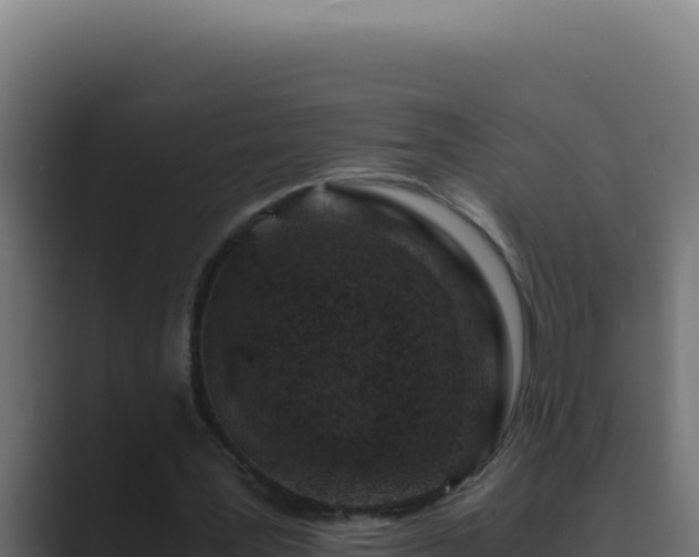 X0000089690387200706281419