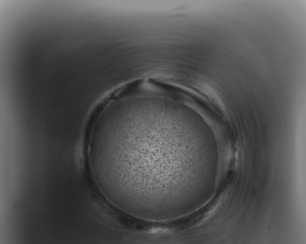 X0000089690388200706281419