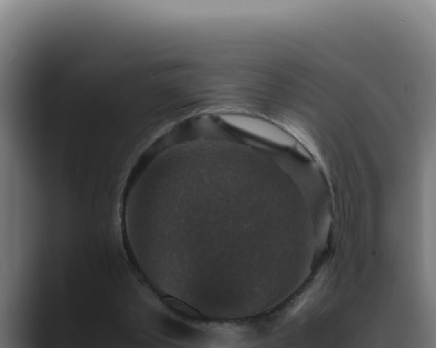 X0000089690389200706281419