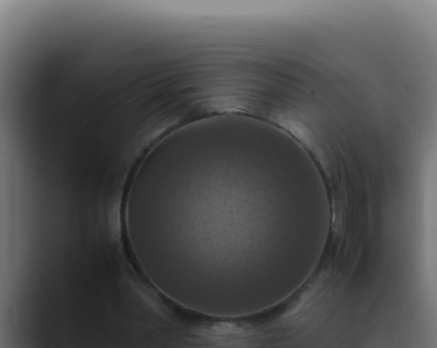 X0000089690390200706281419