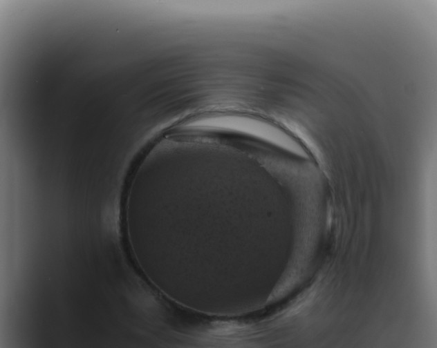 X0000089690391200706281419