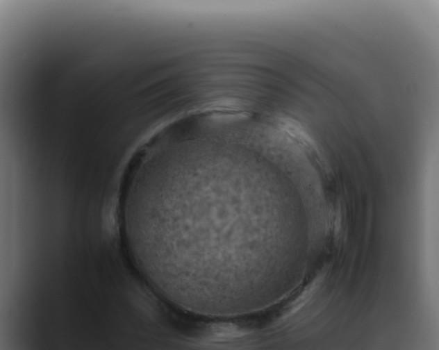 X0000089690392200706281419