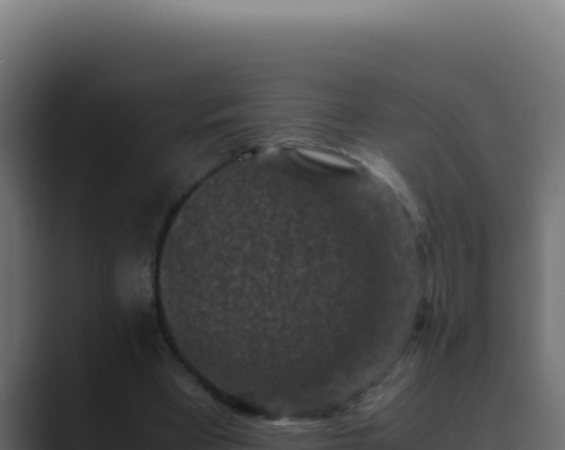 X0000089690393200706281419