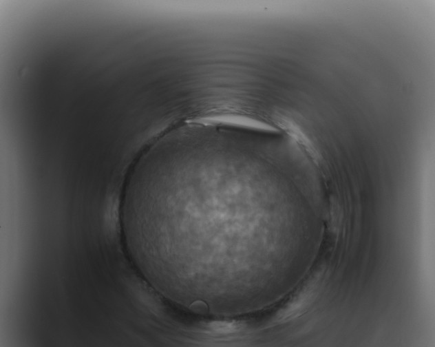 X0000089690394200706281419