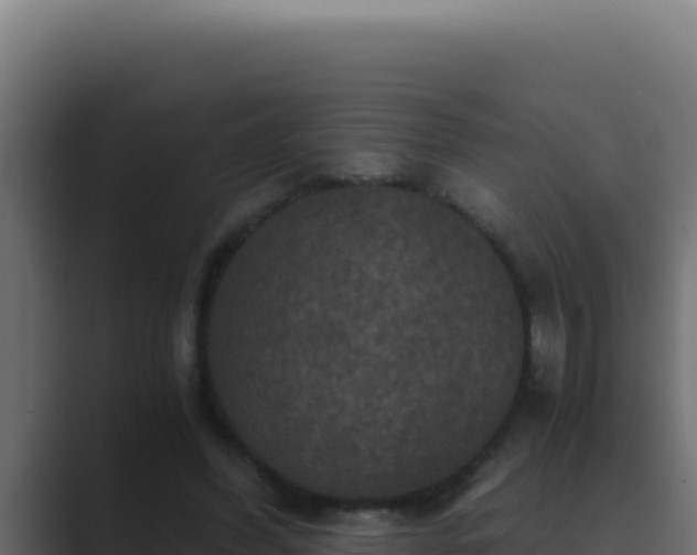 X0000089690396200706281419