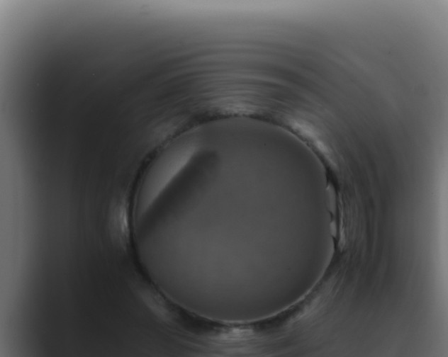 X0000089690398200706281419