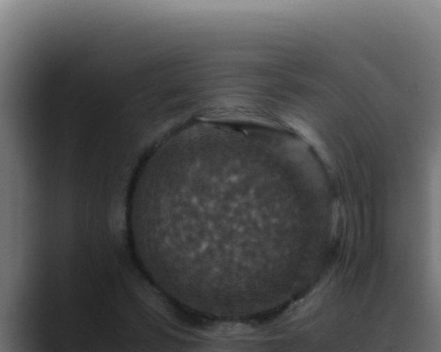 X0000089690399200706281419