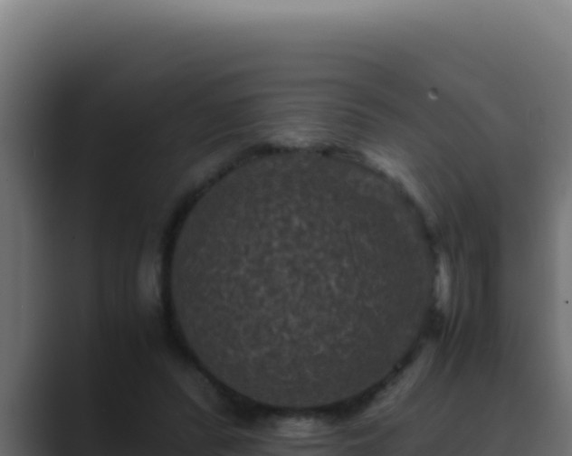 X0000089690400200706281419