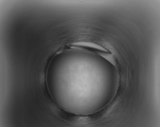 X0000089690401200706281419