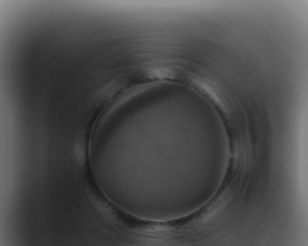 X0000089690402200706281419