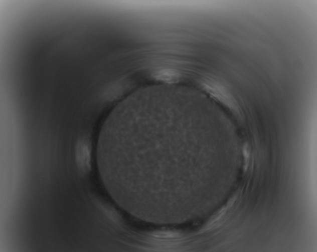 X0000089690404200706281419