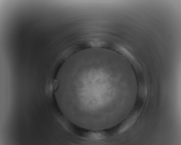 X0000089690405200706281419