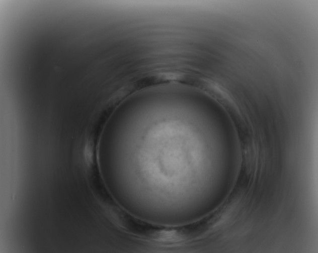 X0000089690406200706281419