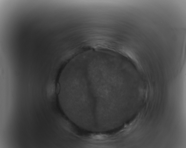 X0000089690407200706281419