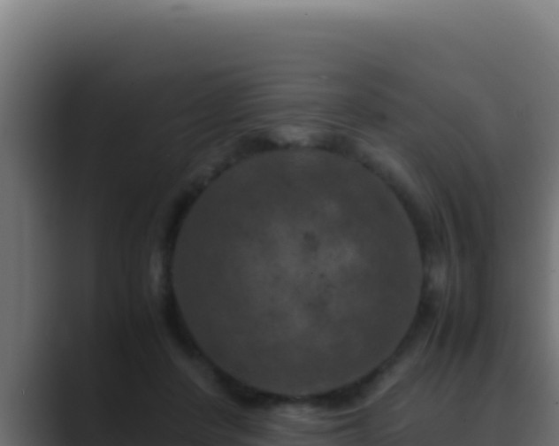 X0000089690408200706281419