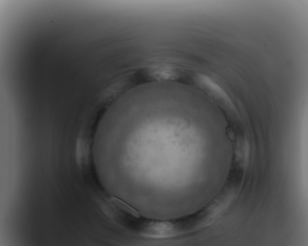 X0000089690409200706281419