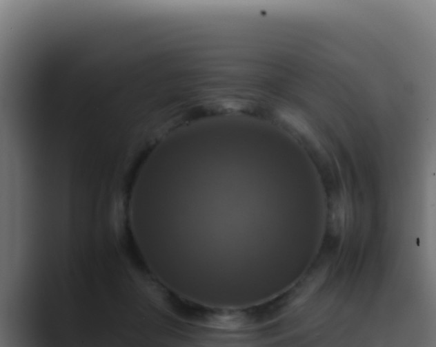 X0000089690410200706281419