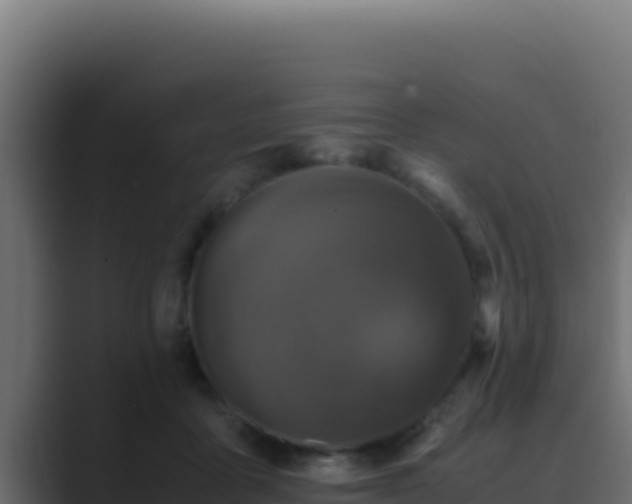 X0000089690411200706281419