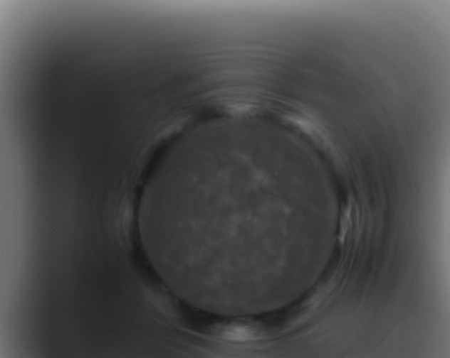 X0000089690412200706281419