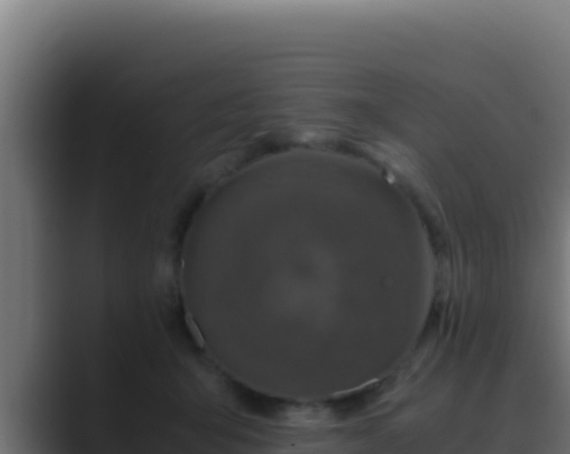 X0000089690415200706281419