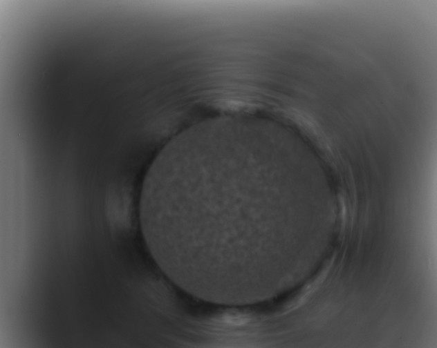 X0000089690416200706281419