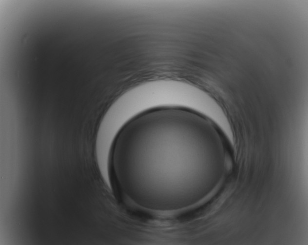 X0000089690417200706281419