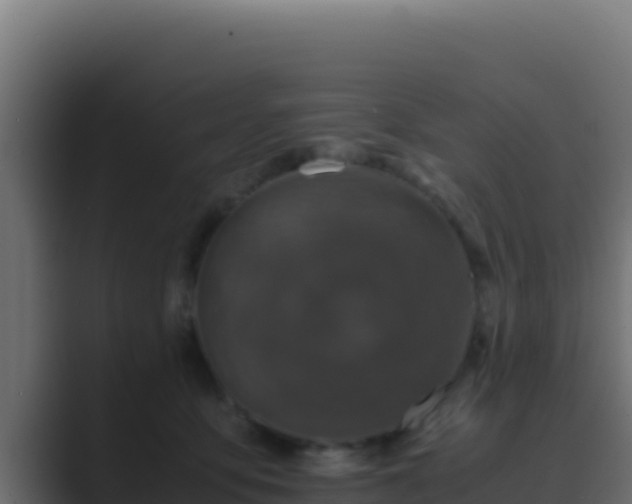 X0000089690419200706281419