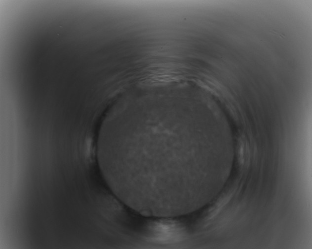 X0000089690420200706281419