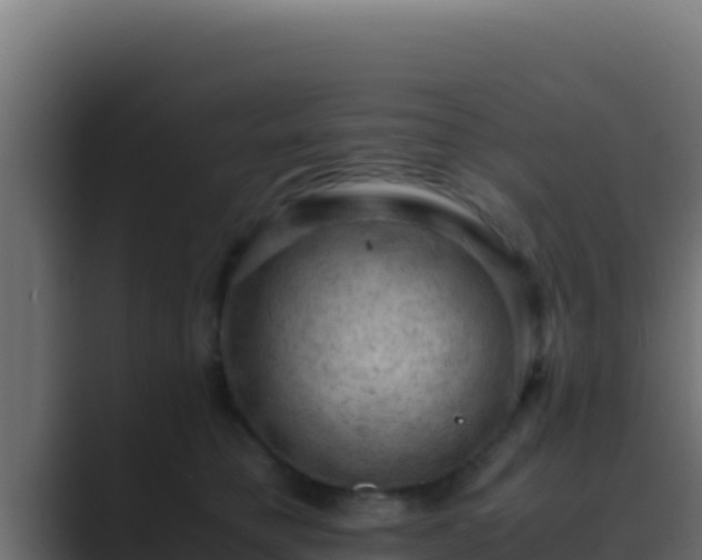 X0000089690421200706281419