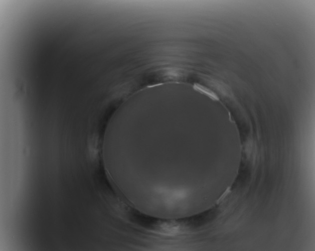 X0000089690423200706281419