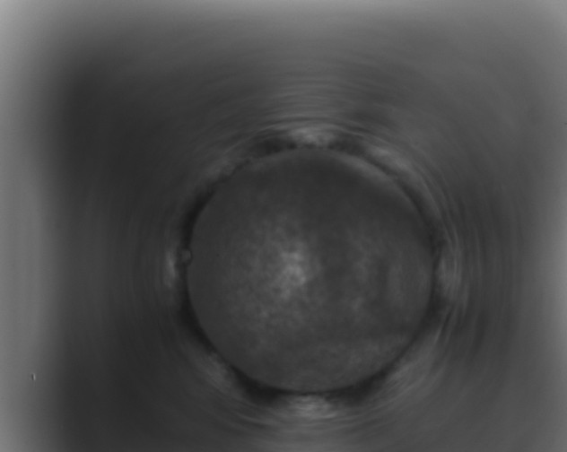 X0000089690424200706281419