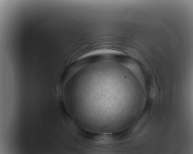 X0000089690425200706281419