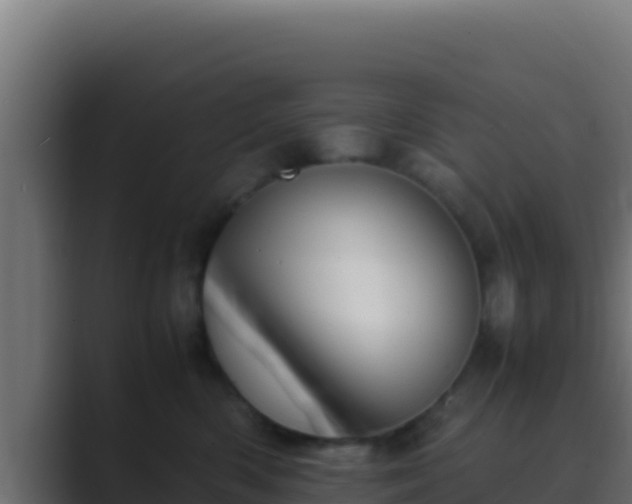 X0000089690426200706281419