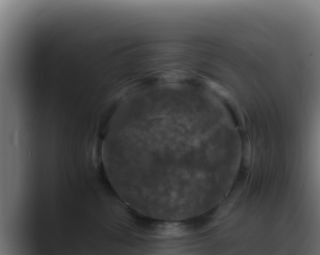 X0000089690428200706281419