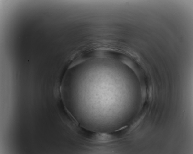 X0000089690429200706281419