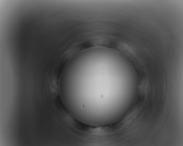 X0000089690430200706281419