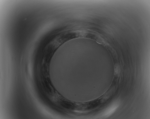 X0000089690431200706281419