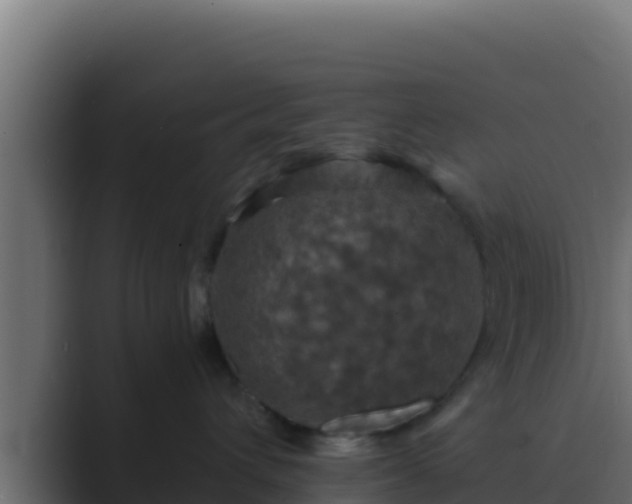 X0000089690432200706281419