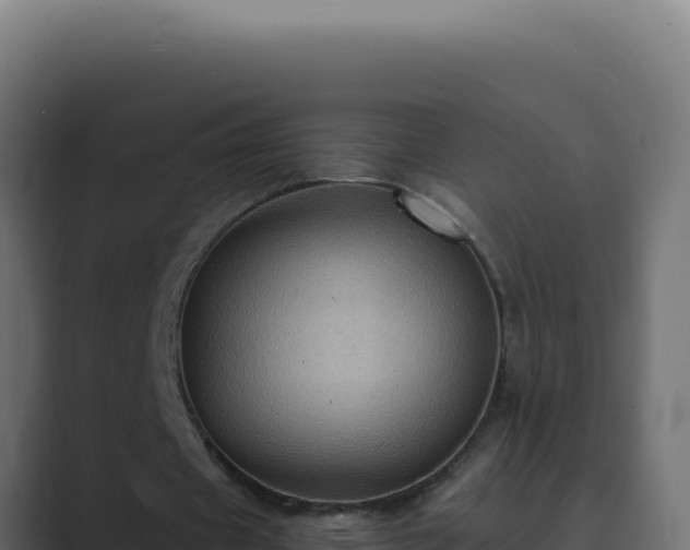 X0000089690433200706281418