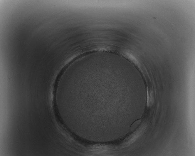 X0000089690435200706281418