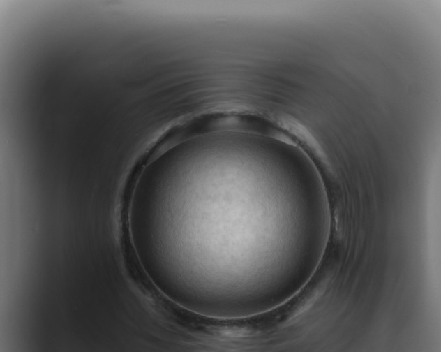 X0000089690436200706281418