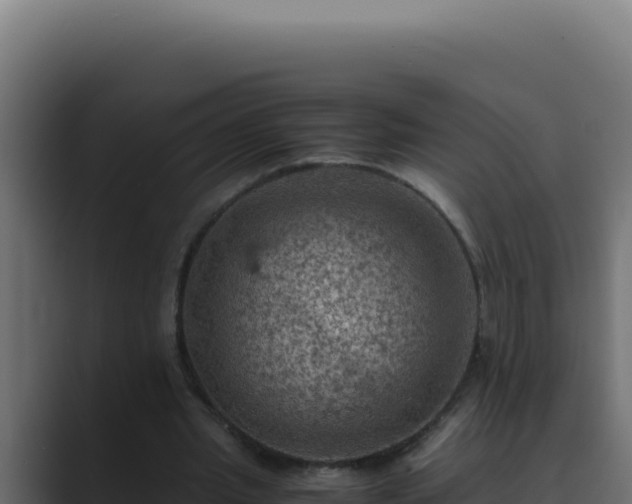 X0000089690437200706281418