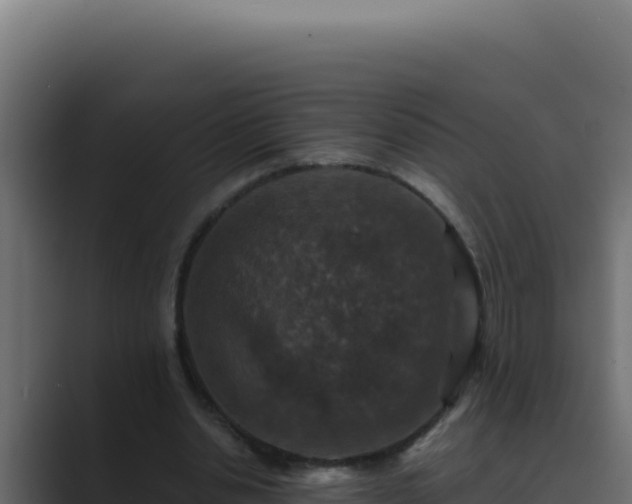 X0000089690438200706281418