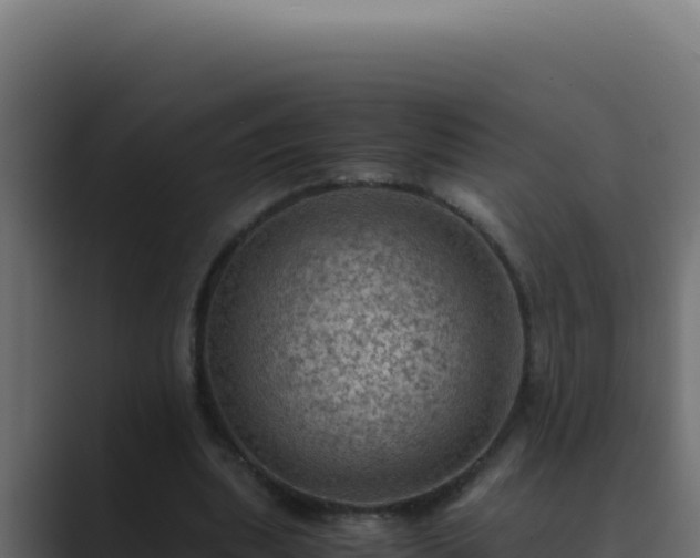 X0000089690439200706281418