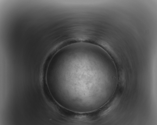 X0000089690440200706281418