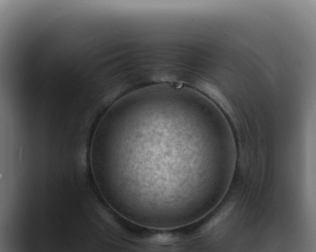 X0000089690441200706281418