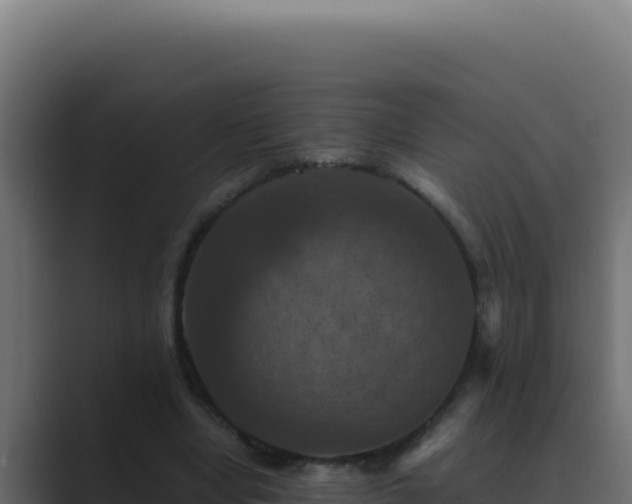 X0000089690442200706281418