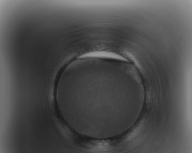 X0000089690443200706281418